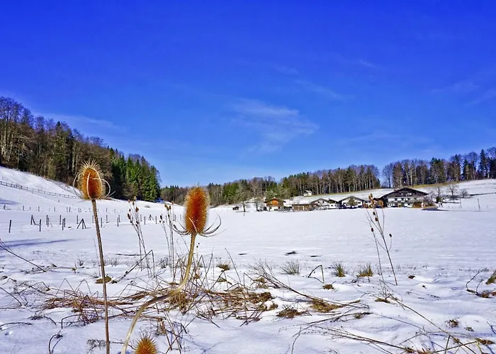 Vakantieboerderij Wanderparadies Bauernhof Aschau im Chiemgau